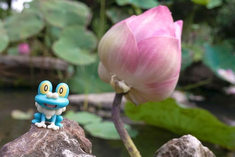 Froakie is the name of a ninja frog Pokemon