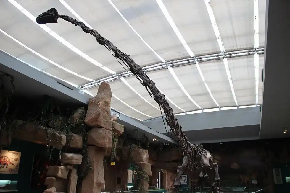 Fukuititan facts give information about these sauropod dinosaurs.