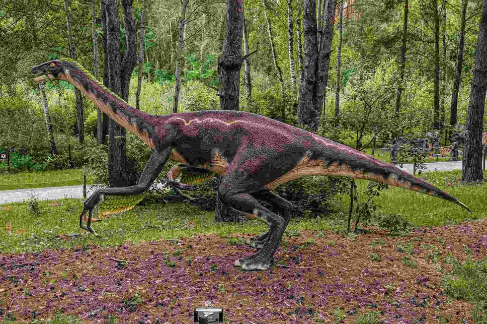 Fun facts about the Ornithomimus dinosaur for kids.