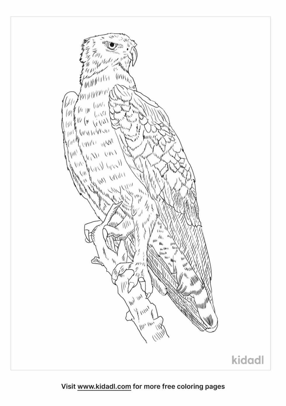 Fun martial eagle coloring page for kids.