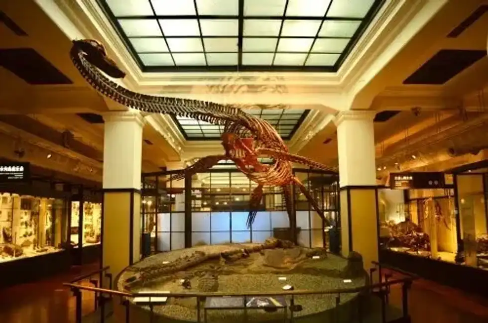 Futabasaurus facts include that they lived on the planet during the Late Cretaceous period.