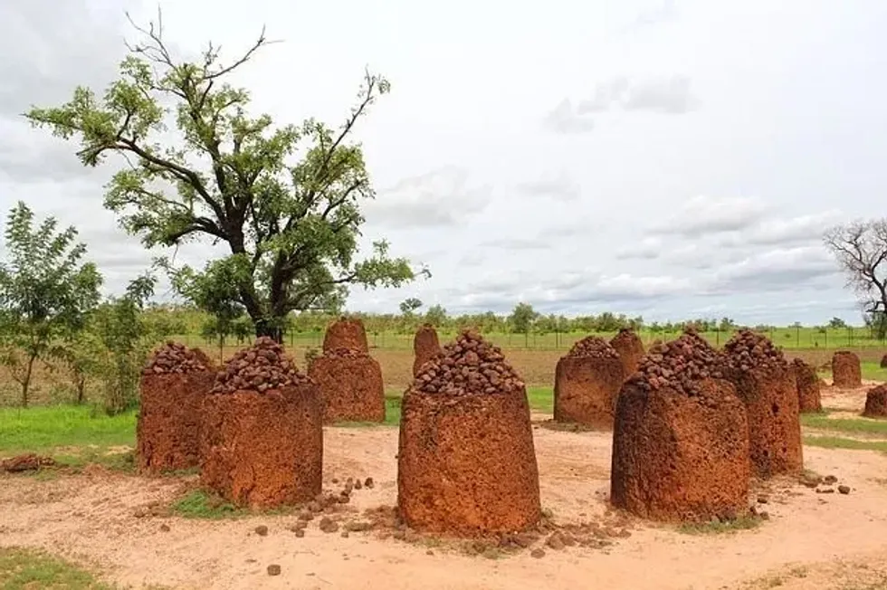 Gambia facts include the popular Wassu stone circles, which is a recognized UNESCO World Heritage site