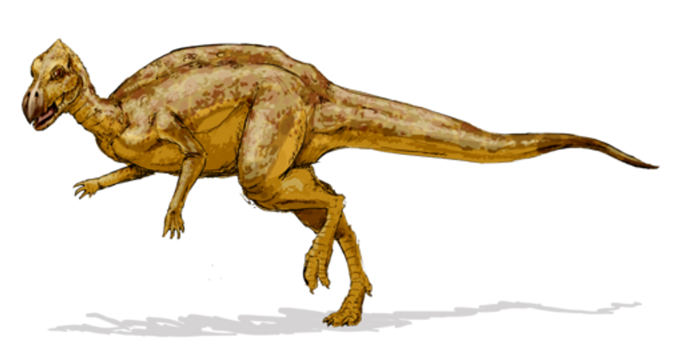 Gannansaurus was probably not an omnivore.
