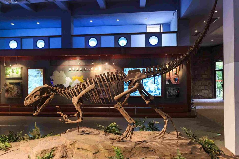 Gasosaurus lived during the middle Jurassic period
