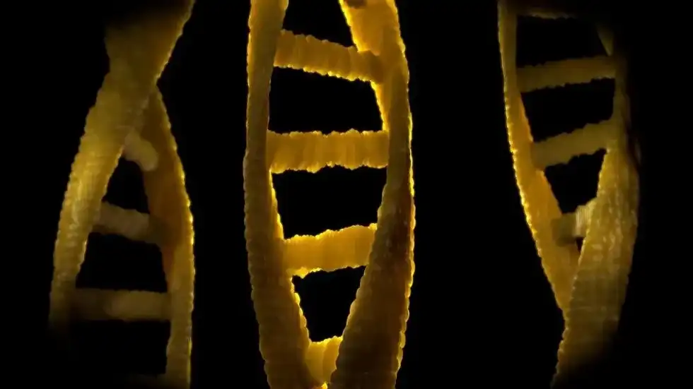 Genetics is a very interesting subject. Learn intriguing allele facts here at Kidadl!