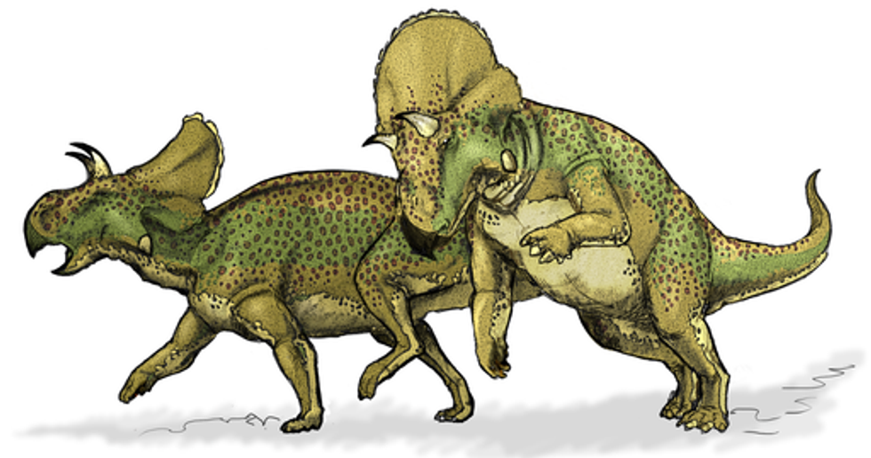 Genusaurus facts talk about this creature from the Lower Cretaceous.