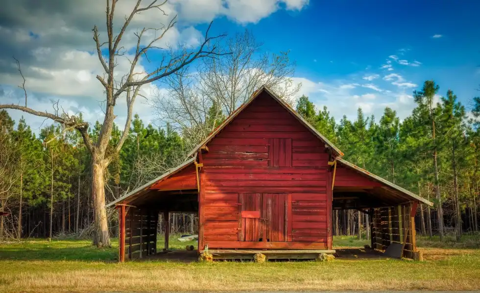 Georgia Colony fun facts will tell you more about the last colony which English settlers occupied.