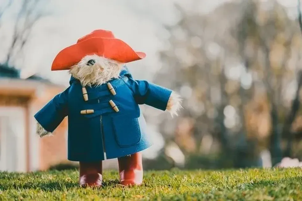 Get ready to learn all about everyone's favourite Peruvian bear with these 'Paddington Bear' facts!