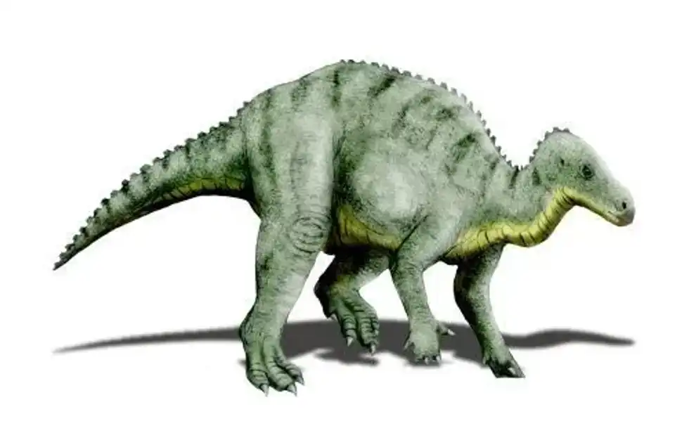 Get your kids interested with the edutainment offered in these Hippodraco facts