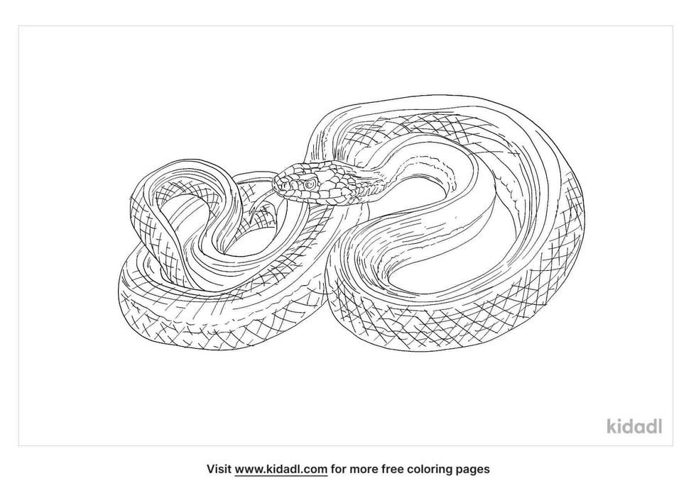 Giant garter snake coloring page.