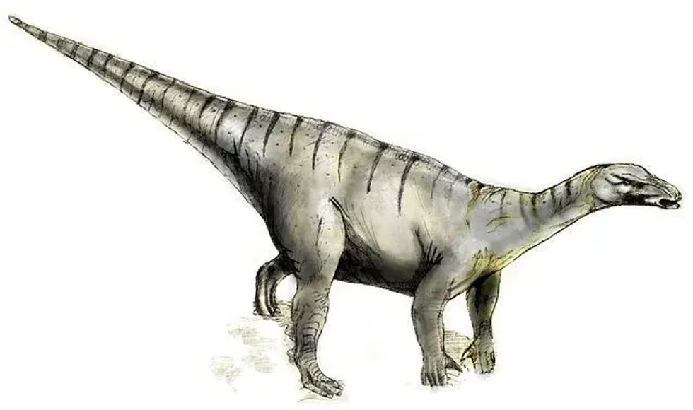 Gideonmantellia facts talk about a genus of basal ornithopod dinosaur.