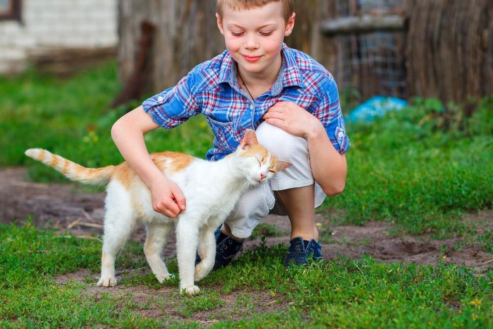 Ginger cat tenderly rubs against the foot of a little boy