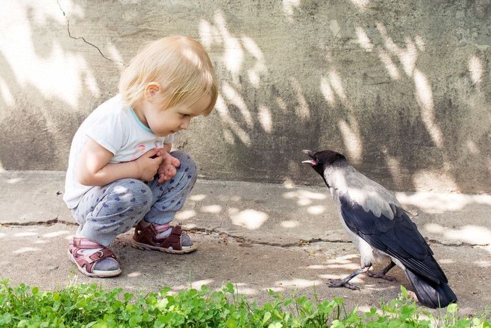 Girl playing with a hooded crow.