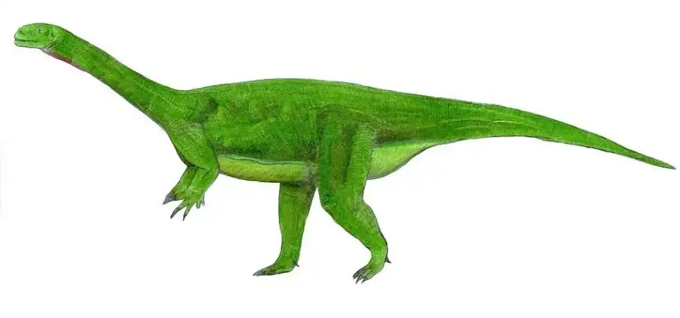 Glacialisaurus facts are interesting to read.