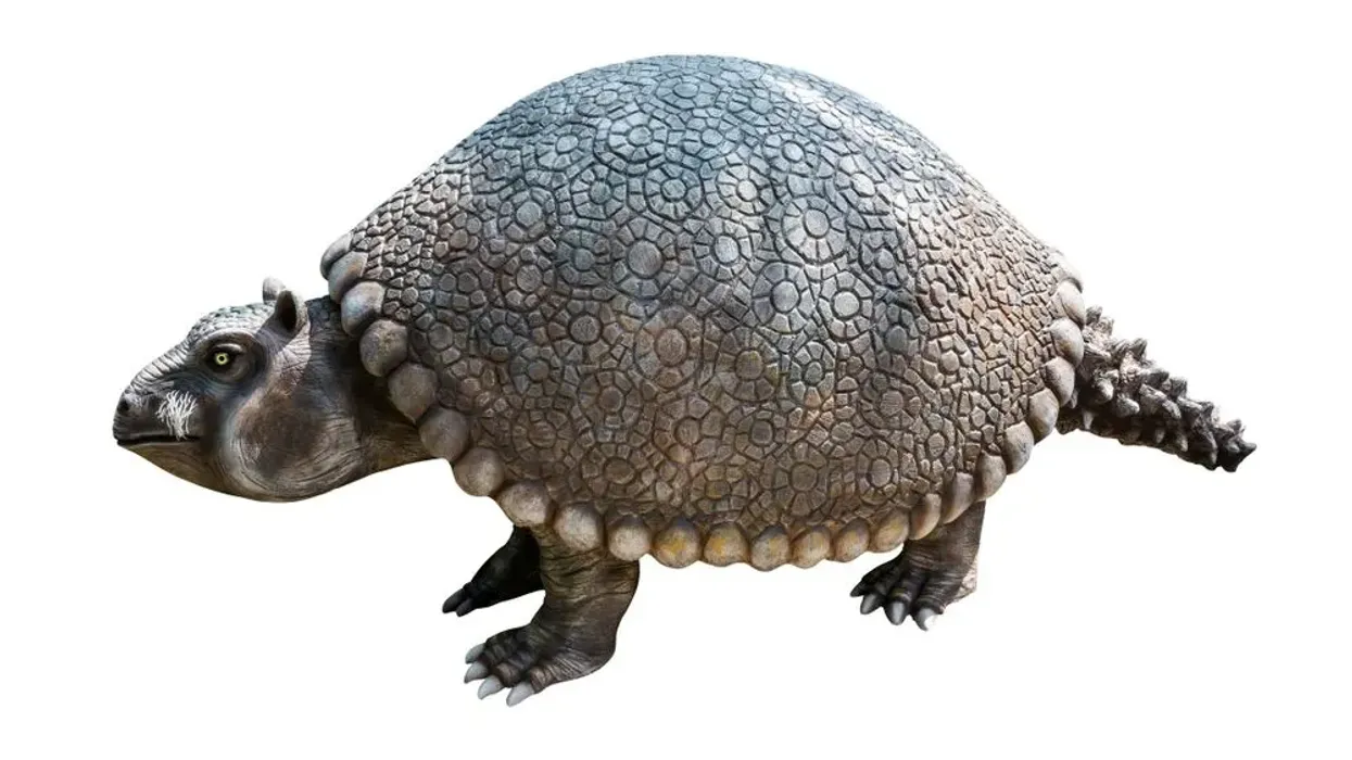 Glyptodon facts for kids are astonishing.