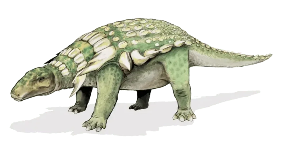 Gongxianosaurus facts share insight into this basal sauropod dinosaur.