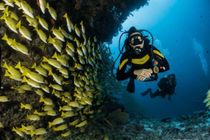 Great Blue Hole is popular among divers