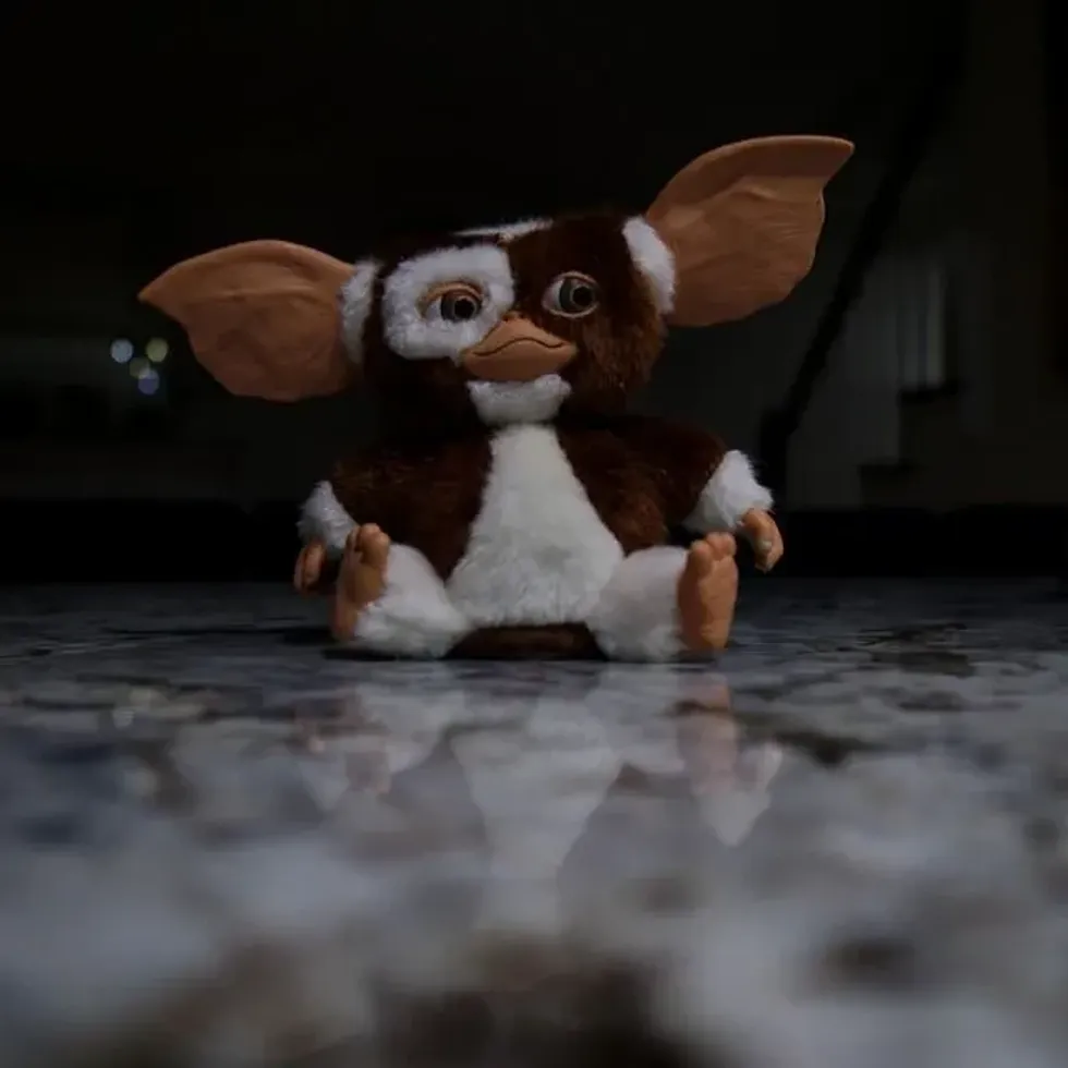 Gremlins was distributed worldwide by Warner Bros, read more interesting Gremlins Facts in this article.