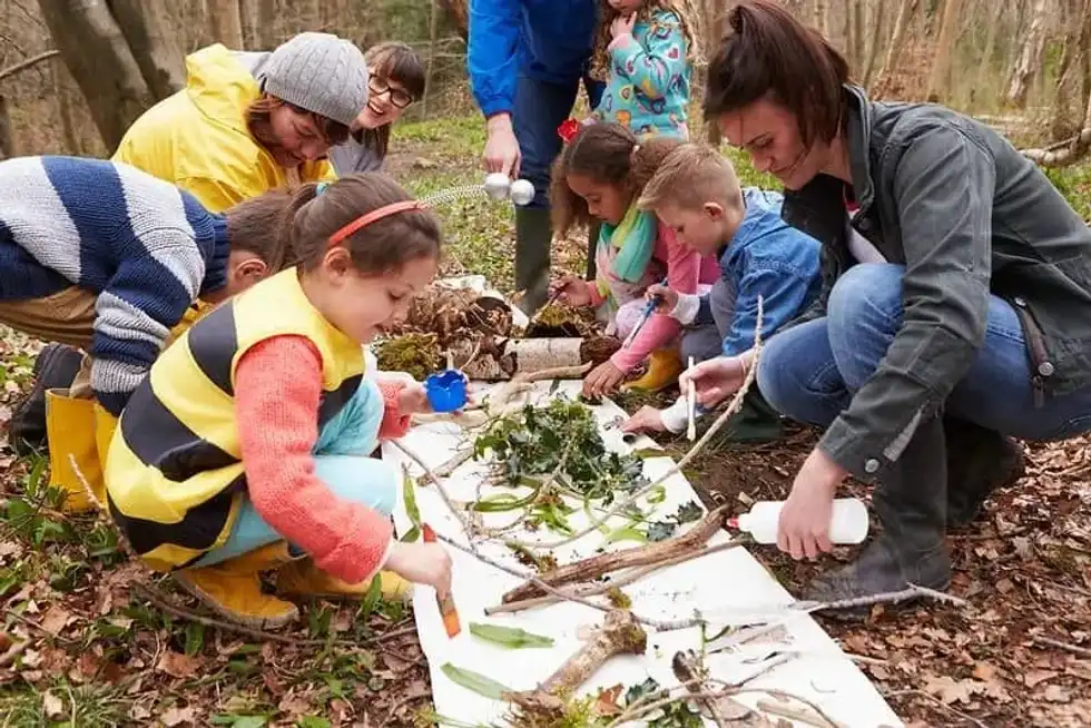 Group of children and adults doing an activity in the woods, looking at minibeasts.