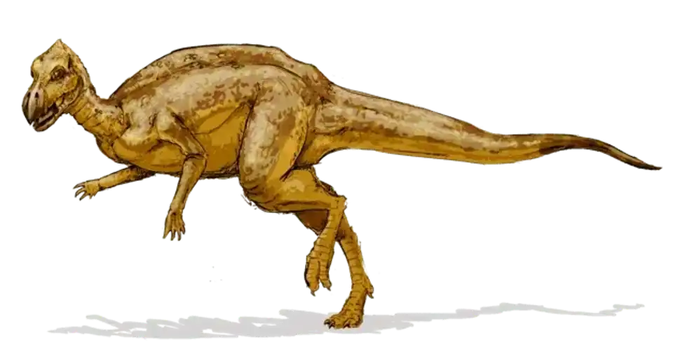 Hadrosaurids such as were common during the Mesozoic era.