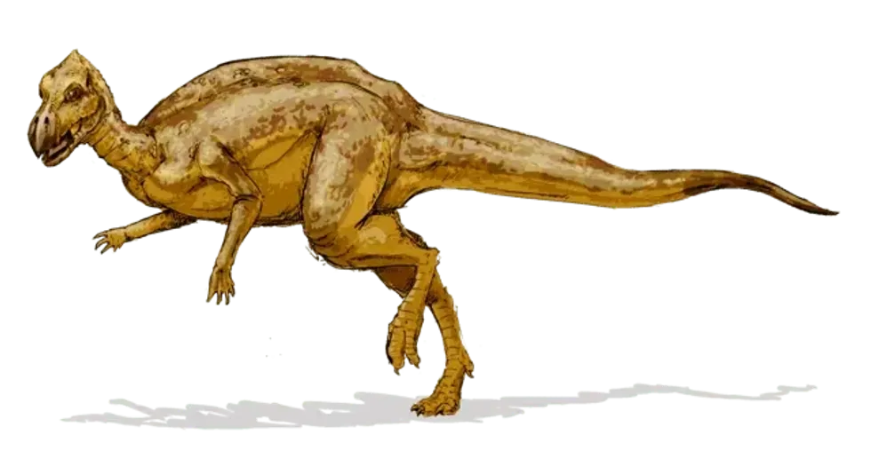 Hadrosaurids such as were common during the Mesozoic era.