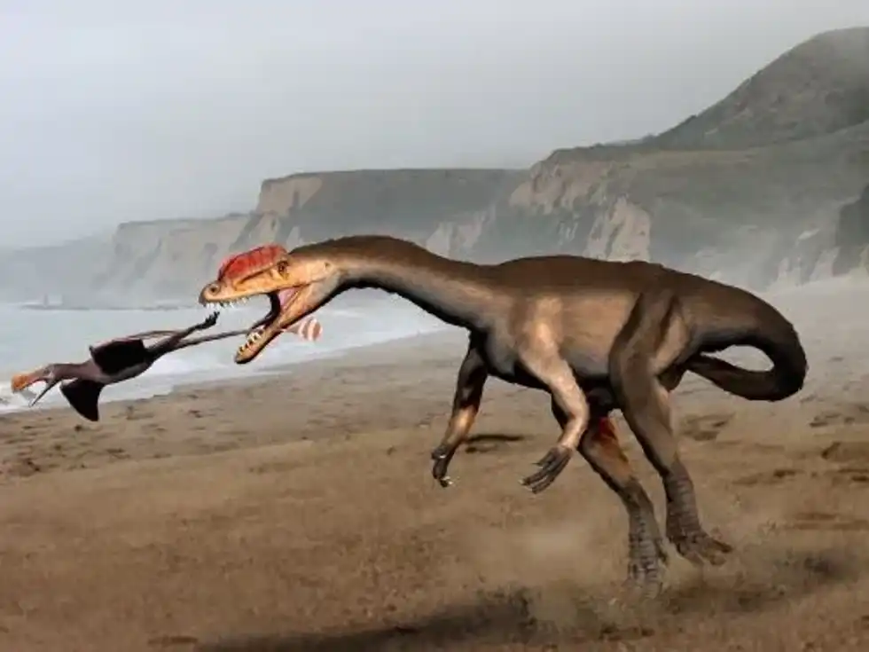 Halticosaurus facts are interesting.