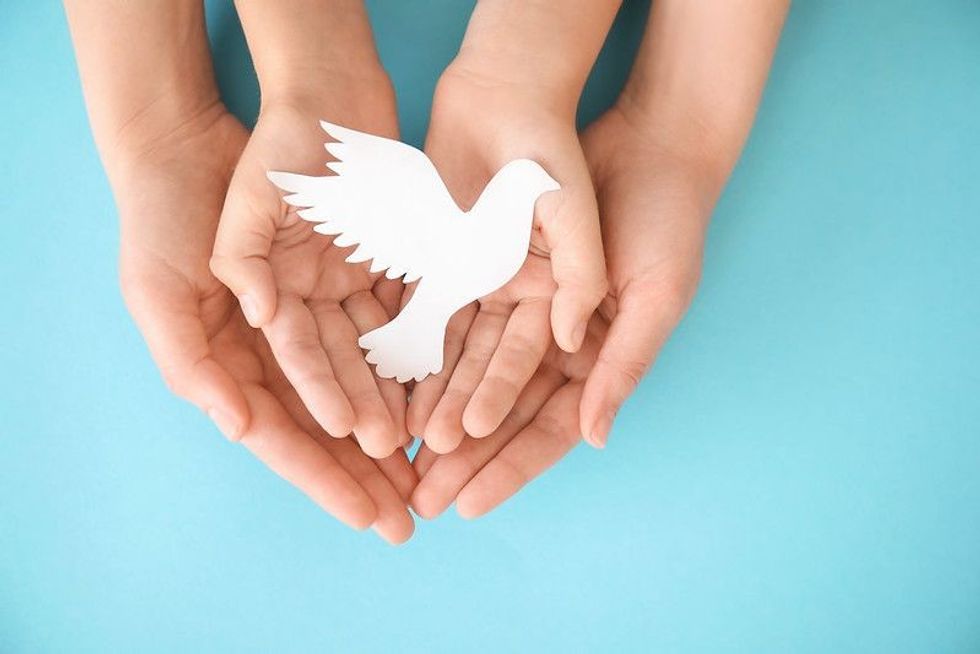 Hands of family with paper humming bird on color background.