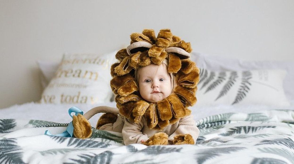 Handsome plump little child in a lion costume.