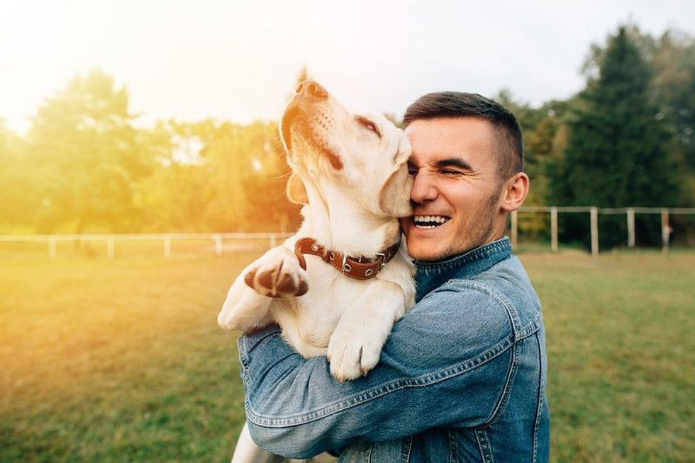 Happy young man holding dog Labrador in hands at sunset outdoors.
