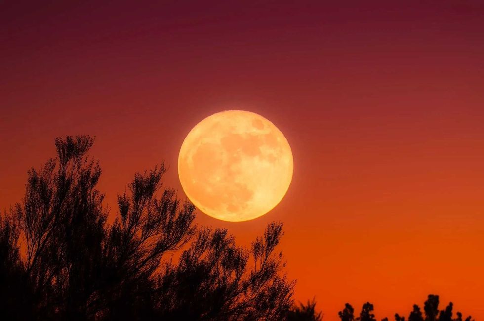 Harvest Moon facts will tell you more about the importance of the Farmers' Almanac.