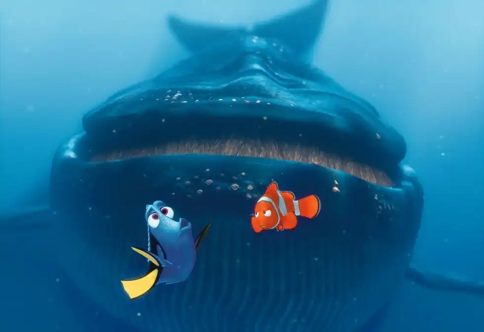 Have you spotted these bloopers?