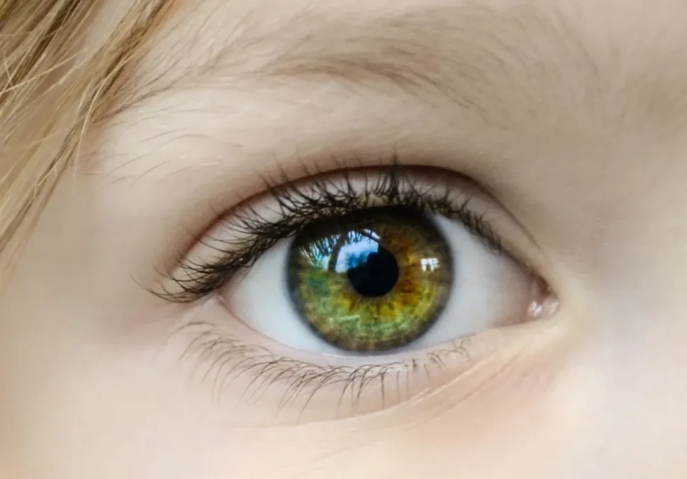 Hazel eyes are one of the rarest eye colors.