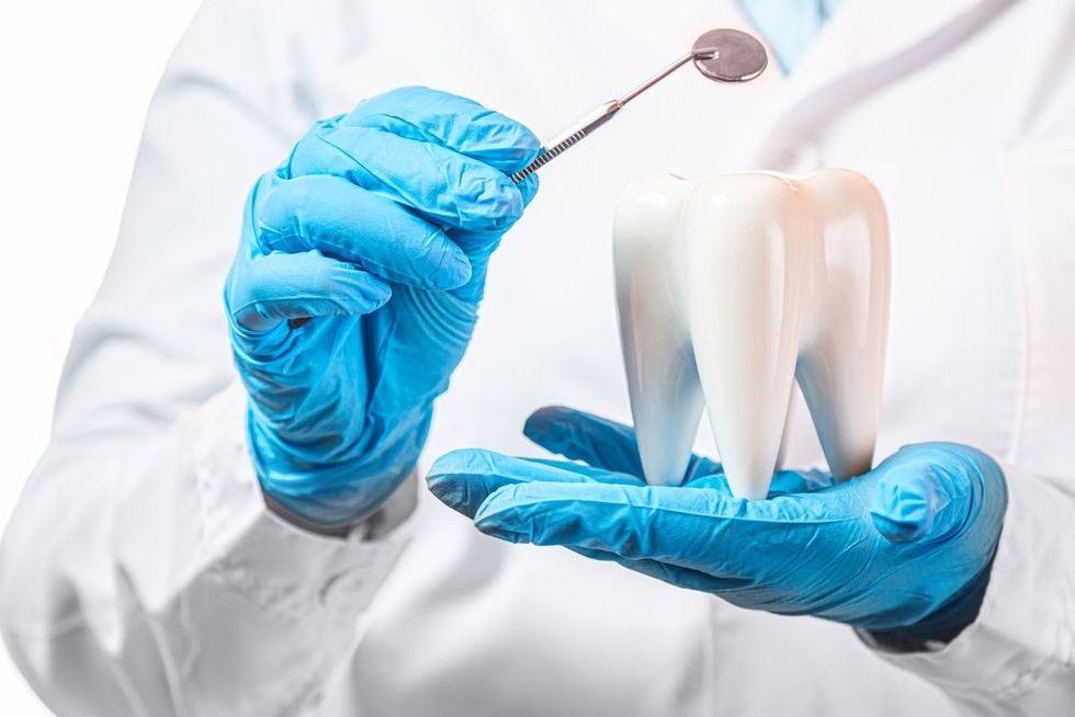 Healthy white tooth model and dentist mirror instrument in dentist hands