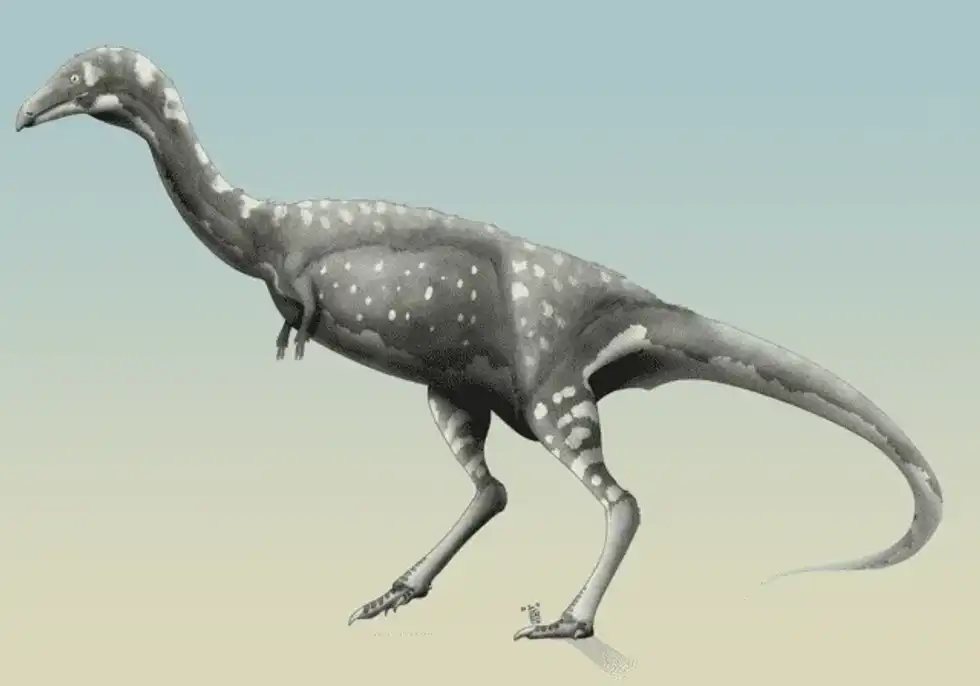 Here are some amazing Martharaptor facts that you will love!