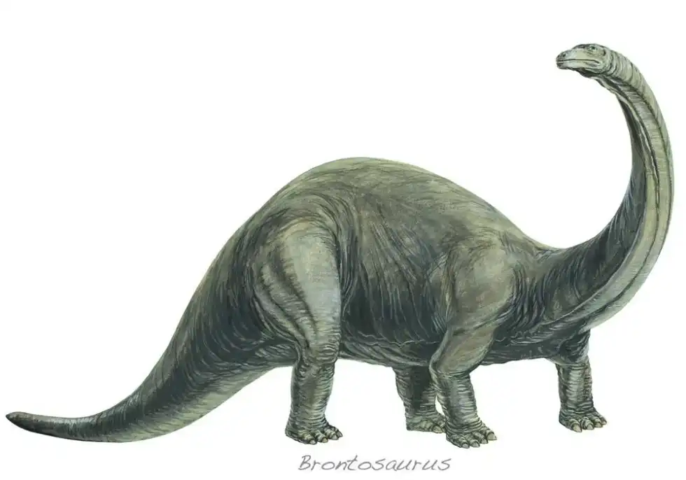 Here are some Borealosaurus facts that are sure to surprise you.
