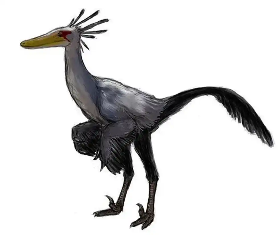 Here are some Byronosaurus facts that you can fascinate yourself with today!