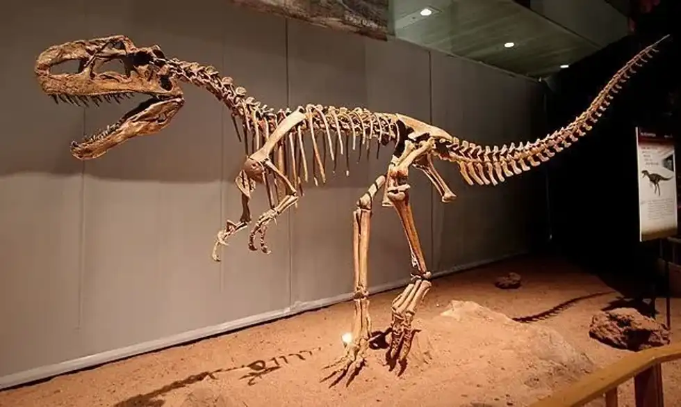 Here are some exciting Monolophosaurus facts for you!