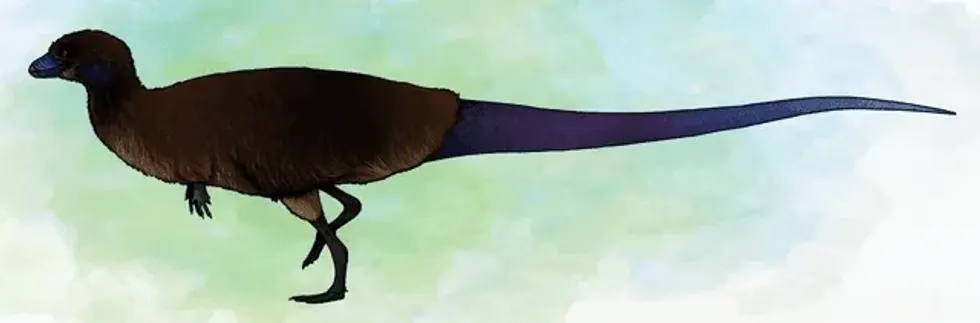 Here are some fun and interesting Lesothosaurus facts to learn and discover about these bipedal Ornithischians during the early Jurassic period.