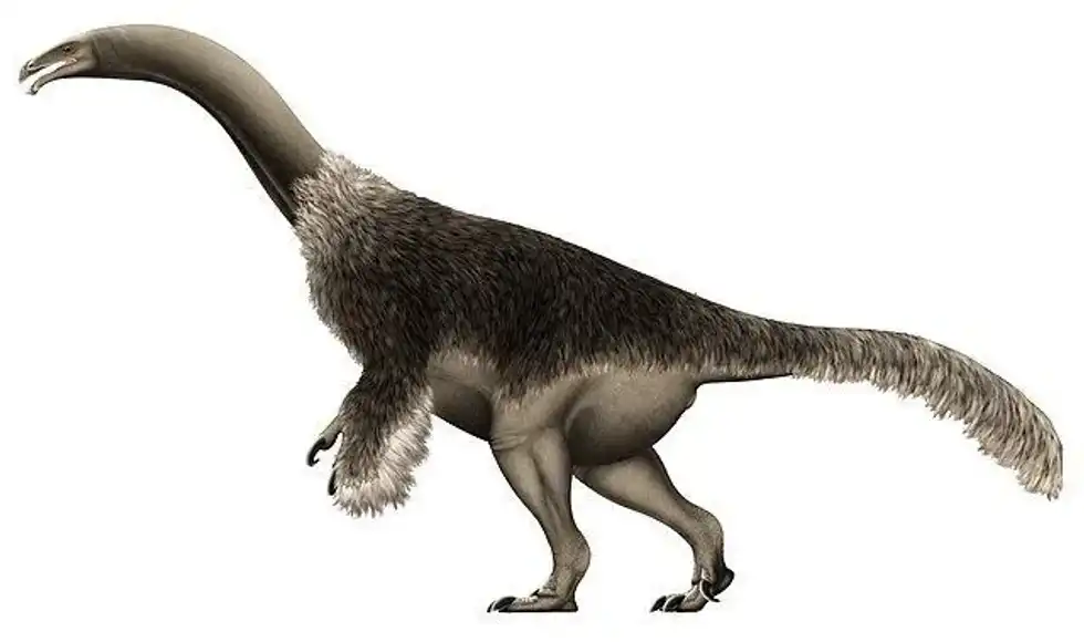 Here are some fun and interesting Segnosaurus facts about Therizinosaurs from the late Cretaceous period.