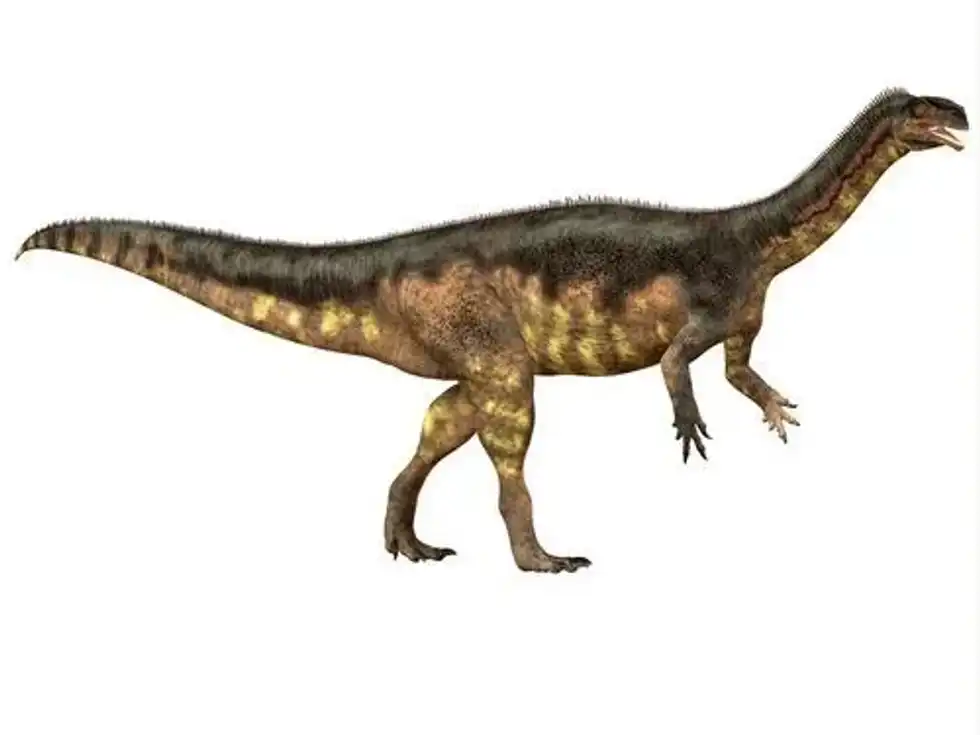 Here are some fun Plateosaurus facts for kids which you will love!