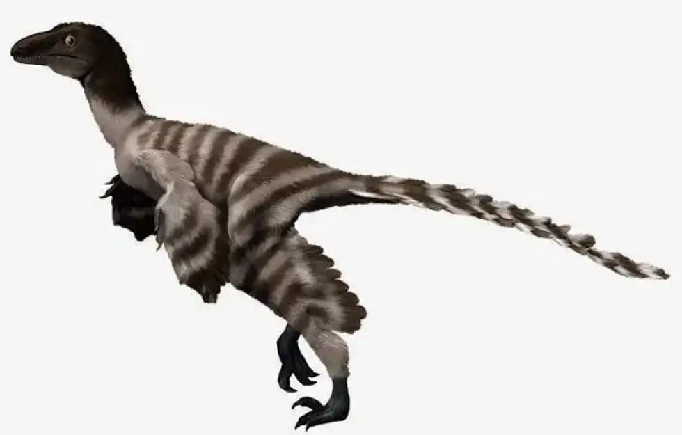 Here are some Geminiraptor facts that will tell you all you need to know about its site of discovery, features, and everything in between!