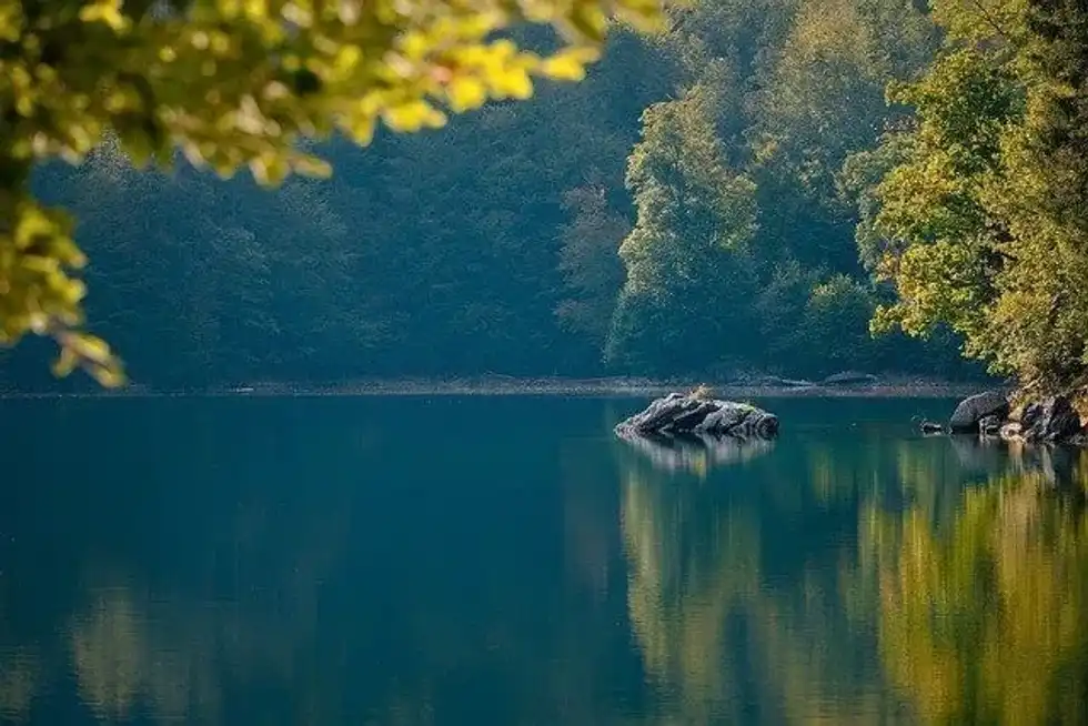 Here are some great freshwater biomes facts for you to read and enjoy!