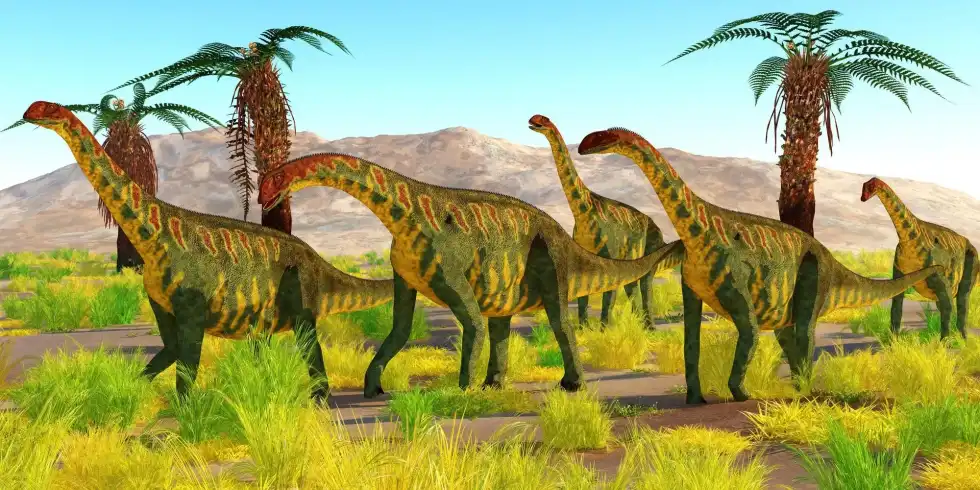 Here are some great Jobaria facts which you will love!