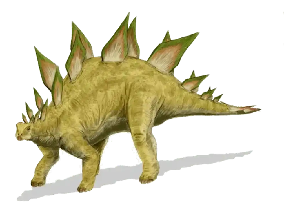 Here are some great Loricatosaurus facts that you are sure to love!