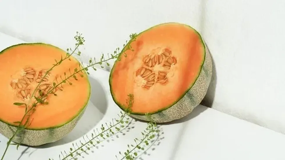 29 Nutritious Melon Facts You Probably Didn't Know About