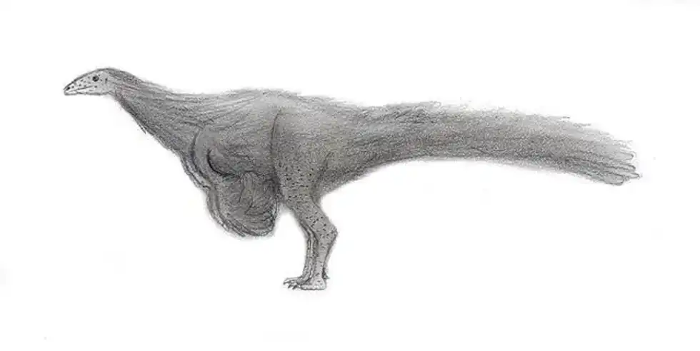 Here are some great Nqwebasaurus facts about the Early Cretaceous theropod dinosaur.