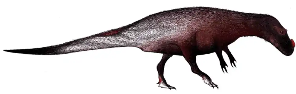 Here are some great Saltriovenator facts which you will love!