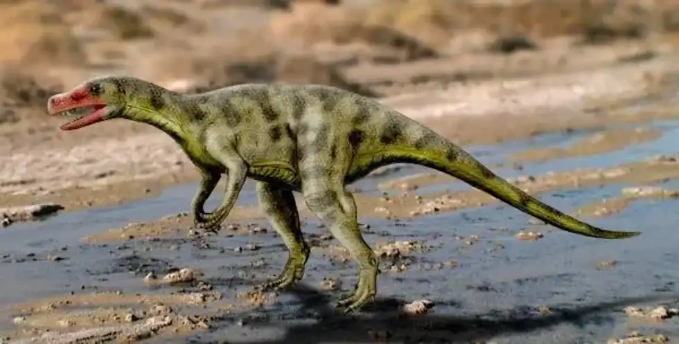 Here are some great Sanjuansaurus facts that you are sure to love!