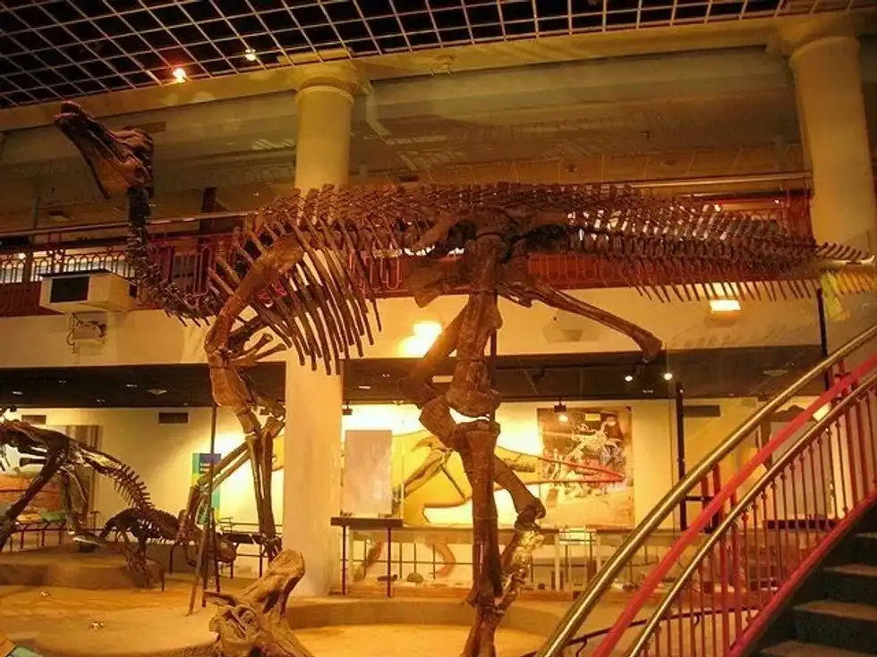 Here are some interesting Corythosaurus facts for kids and adults alike!