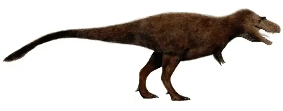 Here are some interesting Deinodon facts that will tell you all that you need to know about these wonderful animals!
